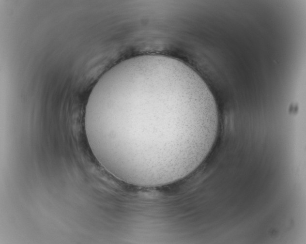 X0000113081250200909182040