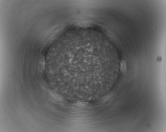 X0000113081251200909182040