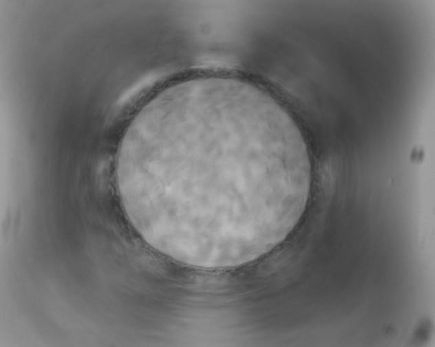 X0000113081254200909182040