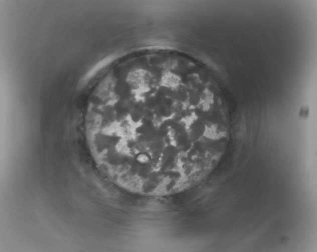 X0000113081255200909182040