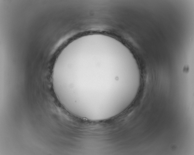 X0000113081256200909182040