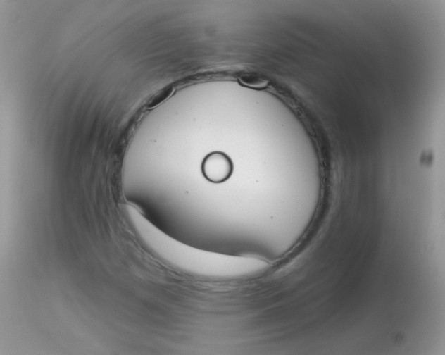 X0000113081257200909182040