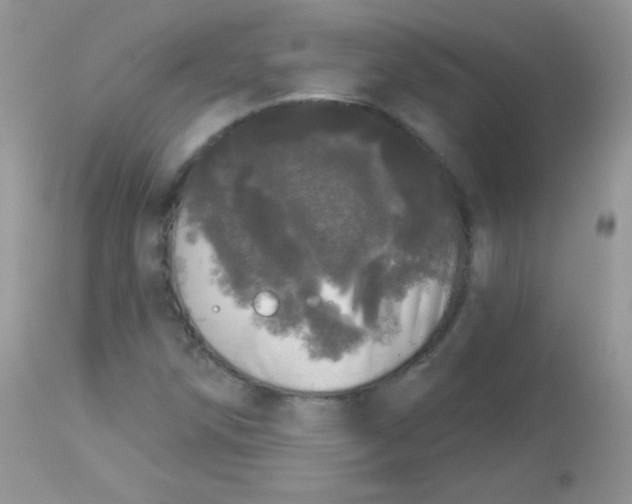 X0000113081258200909182040