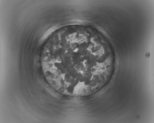 X0000113081259200909182040