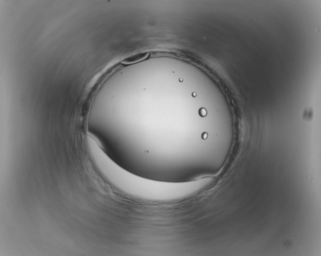 X0000113081260200909182040