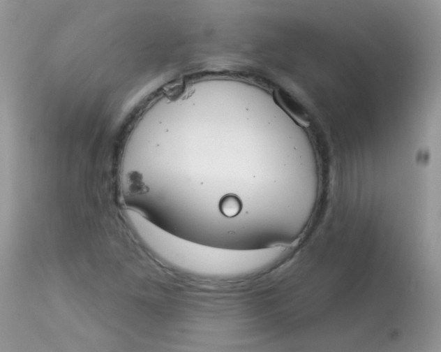 X0000113081261200909182040