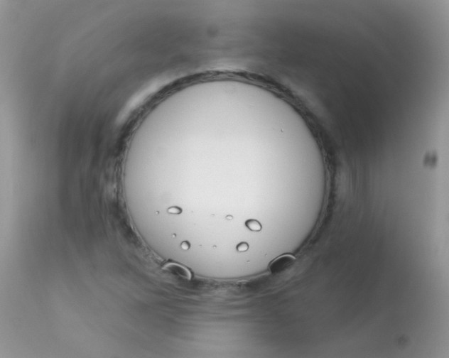 X0000113081262200909182040