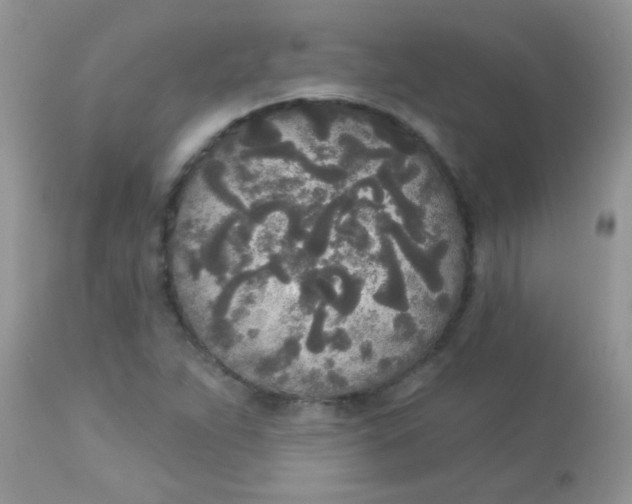 X0000113081263200909182040