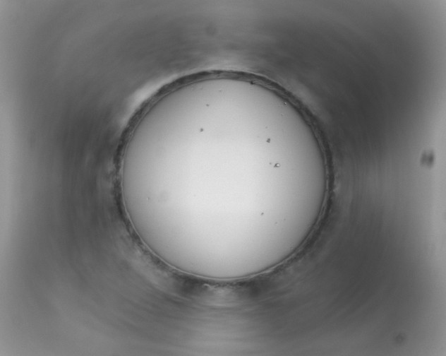 X0000113081264200909182040