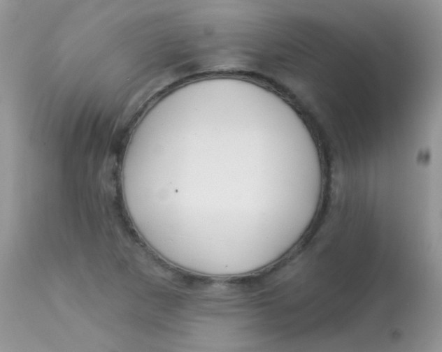 X0000113081265200909182040