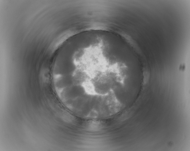 X0000113081266200909182040