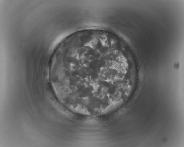 X0000113081267200909182040