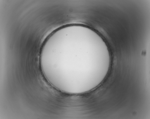 X0000113081268200909182040