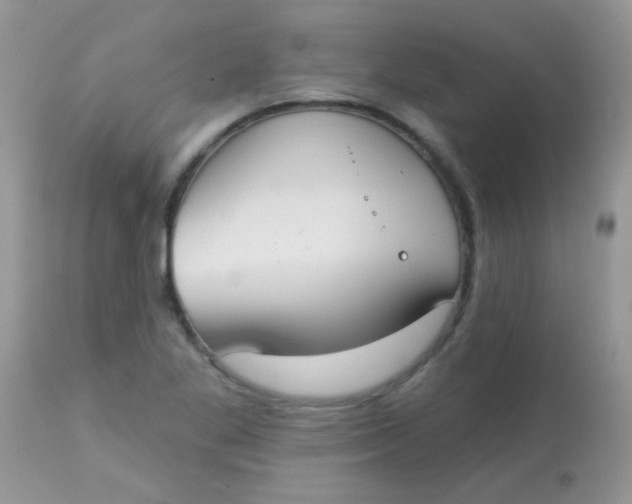 X0000113081269200909182040