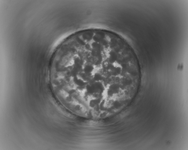 X0000113081271200909182040