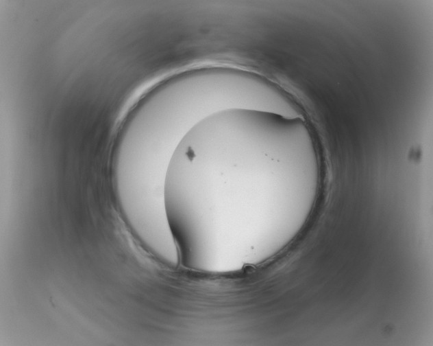 X0000113081272200909182040