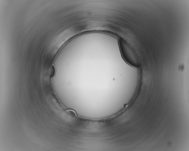 X0000113081273200909182040