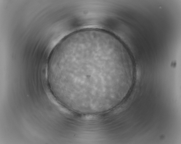 X0000113081274200909182040