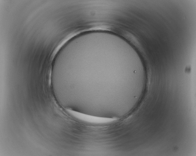 X0000113081276200909182040