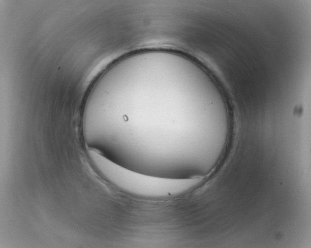 X0000113081277200909182040