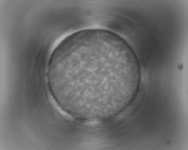 X0000113081278200909182040