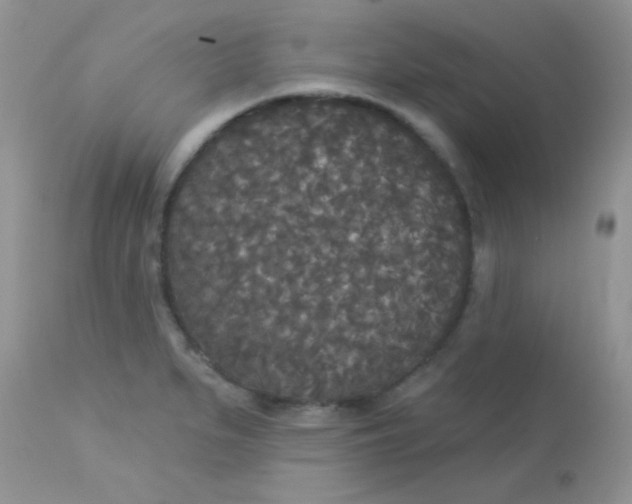 X0000113081279200909182040