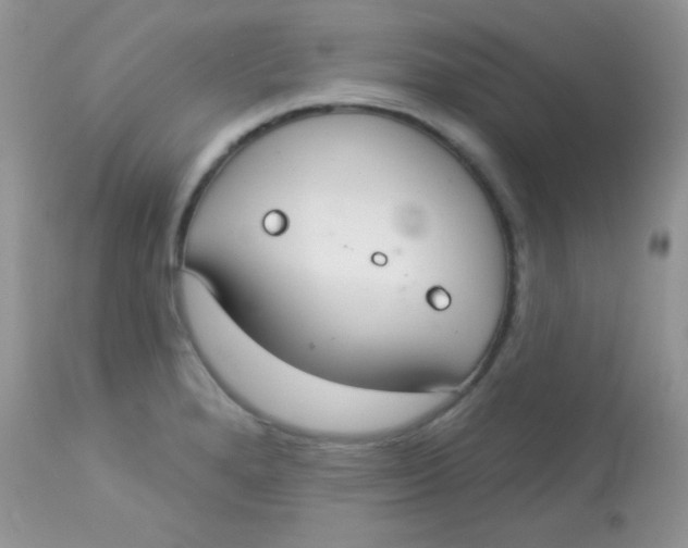 X0000113081280200909182040