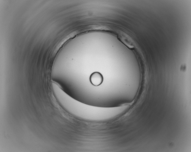 X0000113081281200909182040