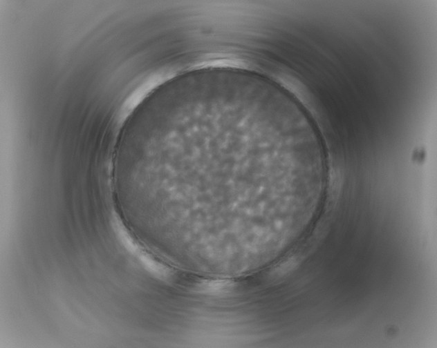 X0000113081282200909182040