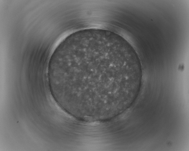 X0000113081283200909182040