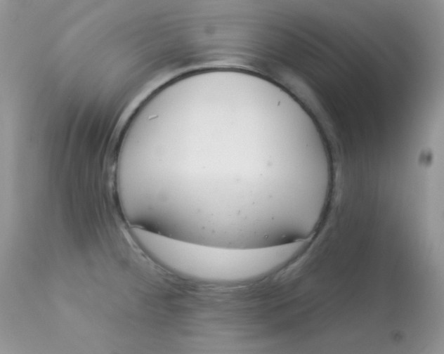 X0000113081284200909182040