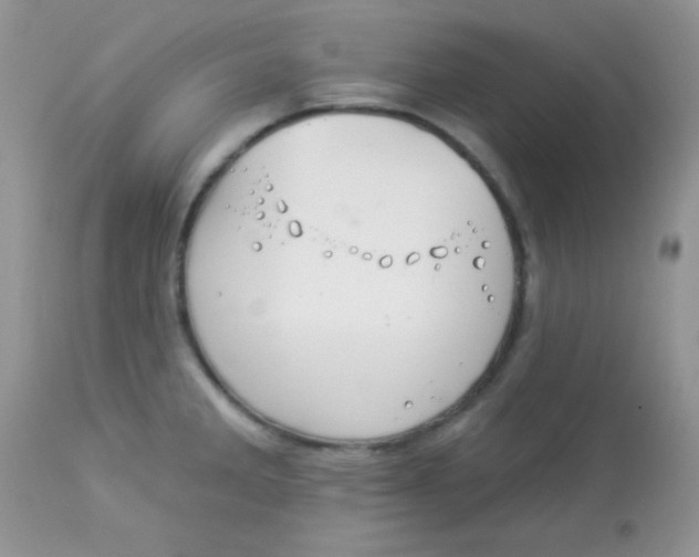 X0000113081285200909182040