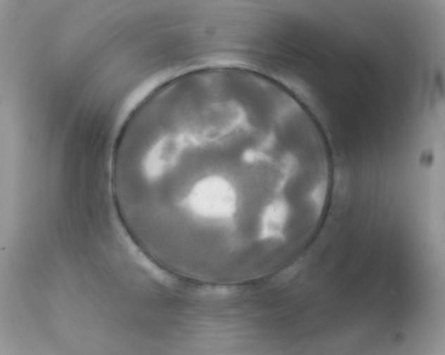 X0000113081286200909182040