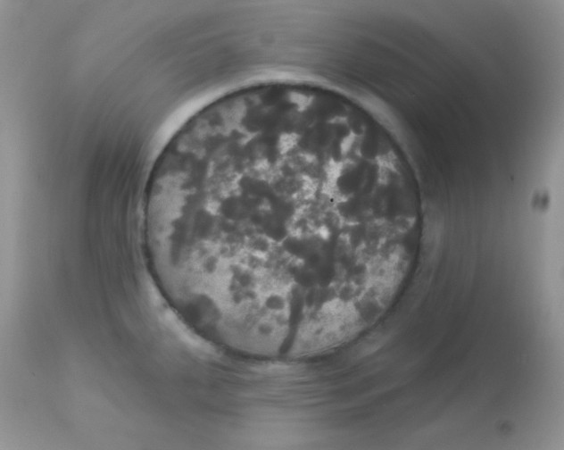 X0000113081287200909182040