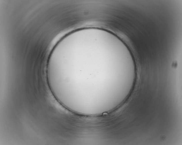 X0000113081288200909182040