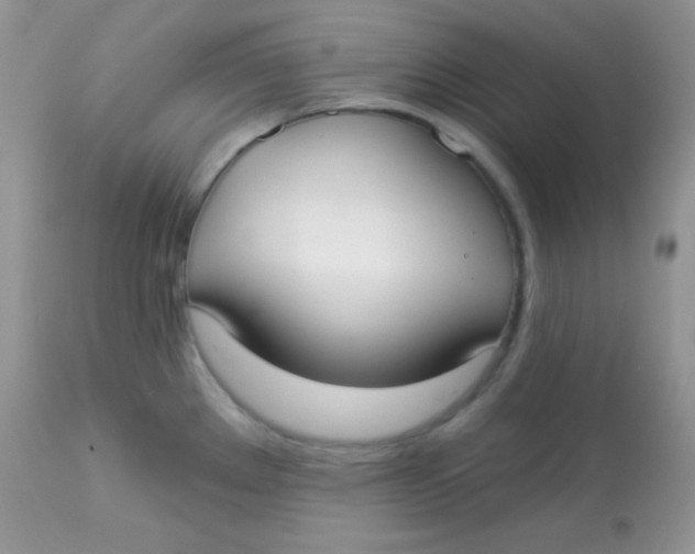 X0000113081289200909182040