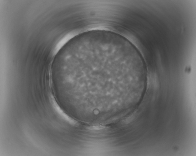 X0000113081290200909182040