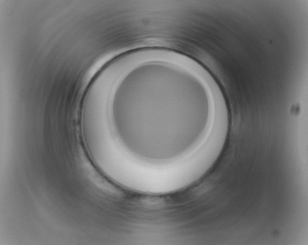 X0000113081291200909182040