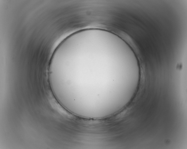 X0000113081292200909182040