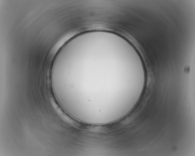 X0000113081293200909182040