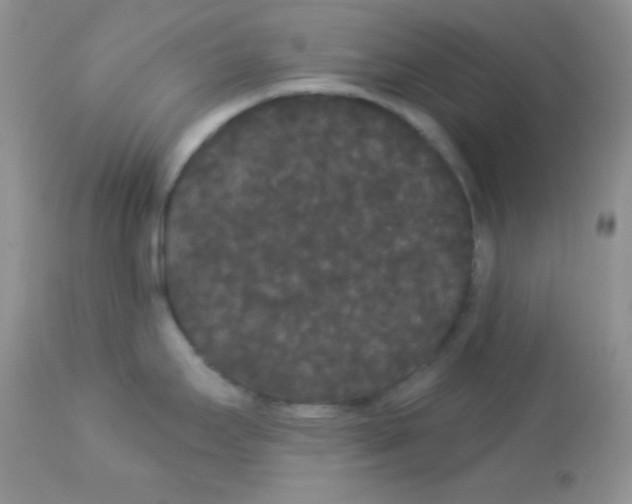 X0000113081295200909182040