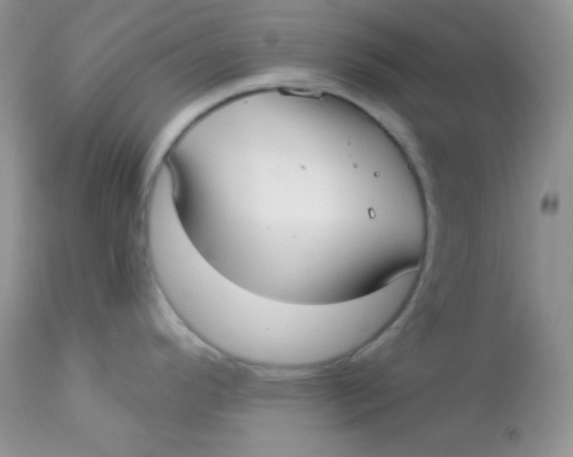 X0000113081296200909182040