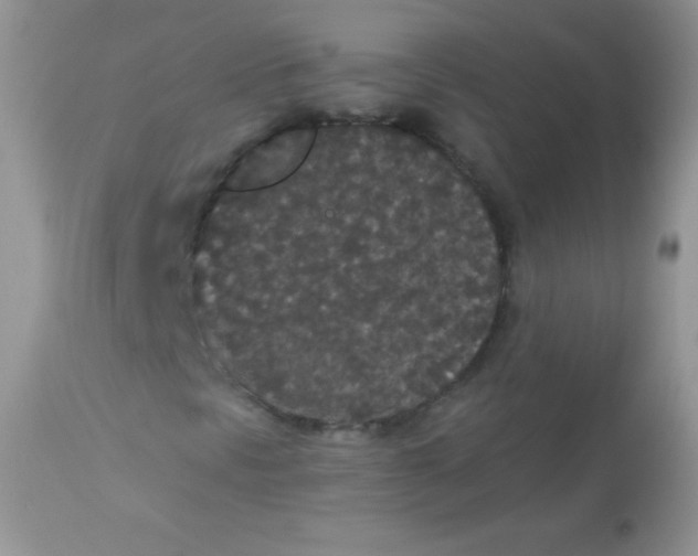 X0000113081297200909182039