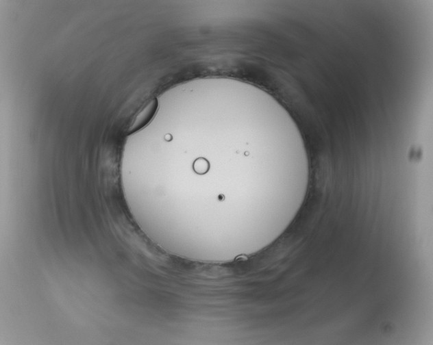 X0000113081298200909182039