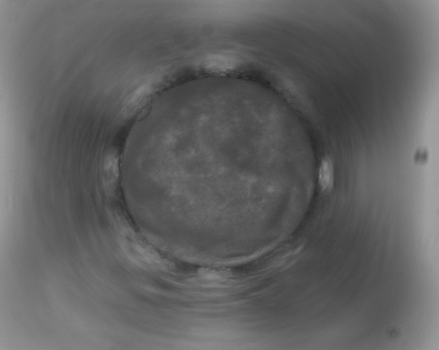 X0000113081299200909182039