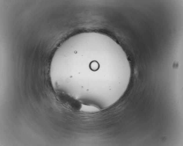 X0000113081300200909182039