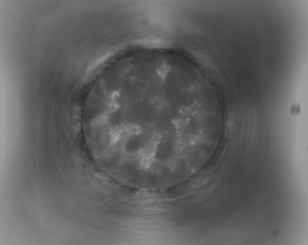 X0000113081301200909182039