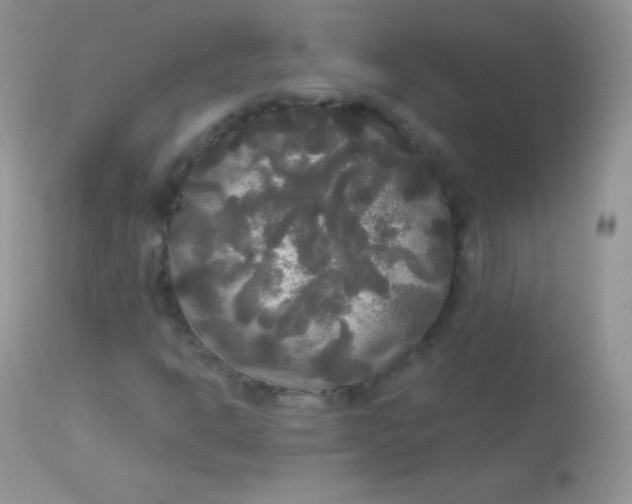 X0000113081302200909182039