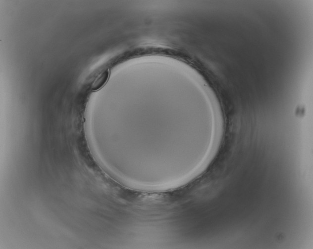 X0000113081303200909182039