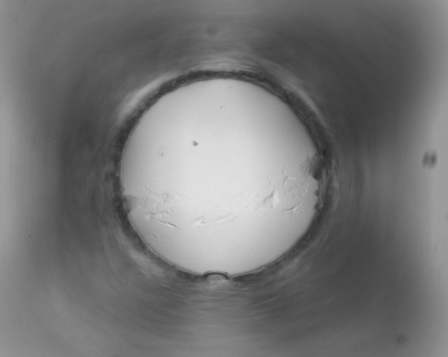 X0000113081304200909182039